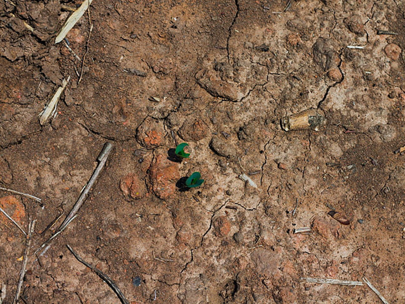 高智能土壤養(yǎng)分速測(cè)儀提高作物產(chǎn)量 高智能土壤養(yǎng)分速測(cè)儀提高作物產(chǎn)量