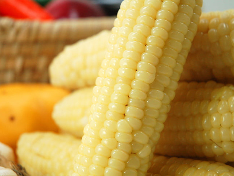 糧食重金屬超標(biāo)的原因及檢測(cè)方法 糧食重金屬超標(biāo)的原因及檢測(cè)方法