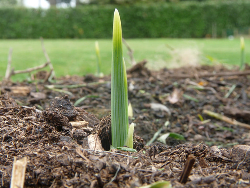 土壤養(yǎng)分檢測(cè)儀讓施肥更科學(xué)
