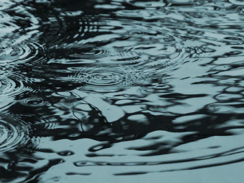 水質(zhì)生物毒性檢測(cè)技術(shù)介紹 水質(zhì)生物毒性檢測(cè)技術(shù)介紹