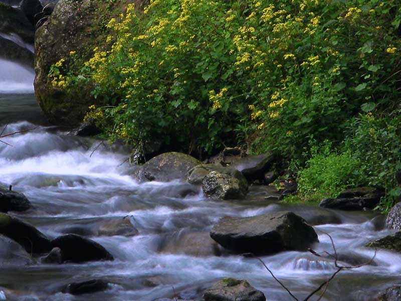 最新地表水水質(zhì)監(jiān)測(cè)數(shù)據(jù)統(tǒng)計(jì) 最新地表水水質(zhì)監(jiān)測(cè)數(shù)據(jù)統(tǒng)計(jì)