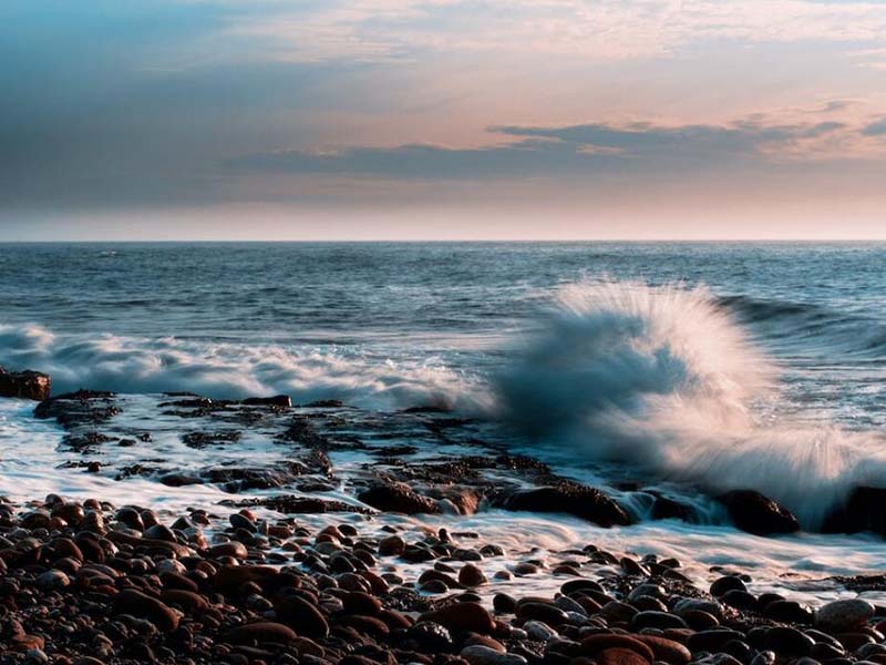BOD在污水處理中的重要性