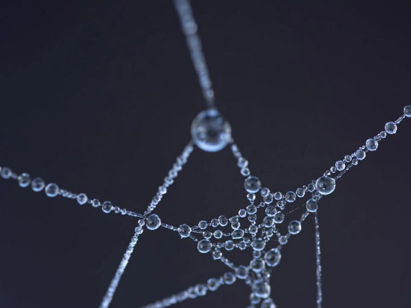 硅酸根檢測(cè)儀工作原理