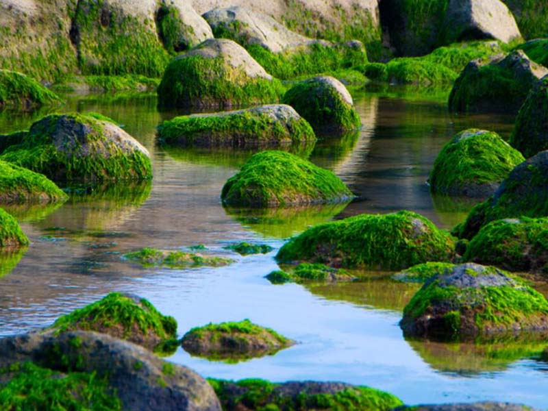 總磷檢測儀常見故障有哪些（總磷檢測儀故障如何解決）