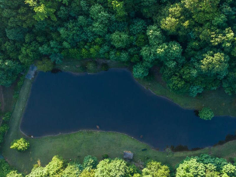 水質(zhì)檢測(cè)氨氮大于總氮是什么原因（氨氮與總氮的關(guān)系）