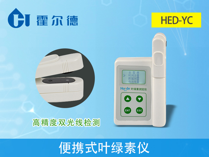 植物的葉綠素含量影響植物的生長